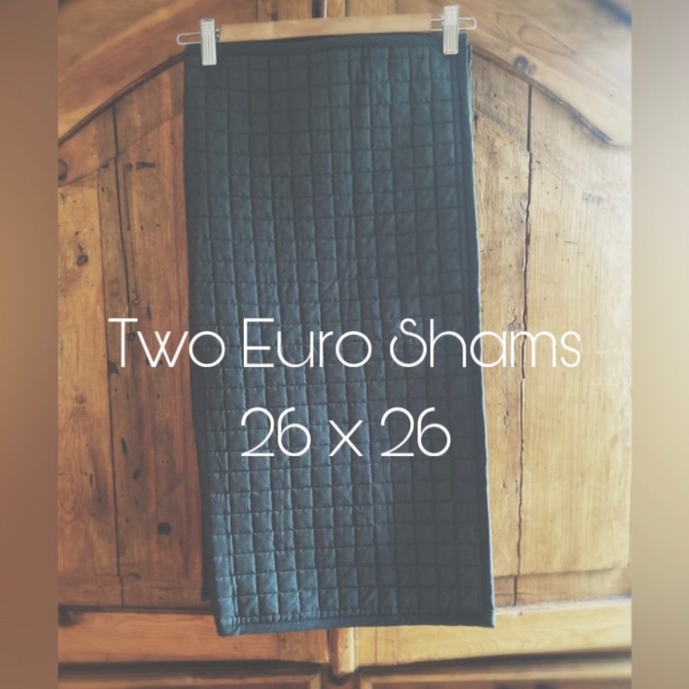 Shams One Decorative Pillow & Two shams - Picture 9 of 16